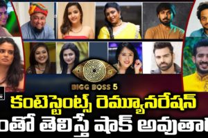 BB5 Telugu contestants Salary